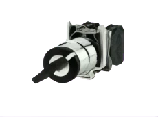 Selector 2 posiciones con llave